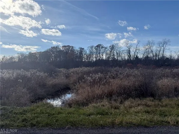 5089 Bayard Rd, Homeworth, OH 44634