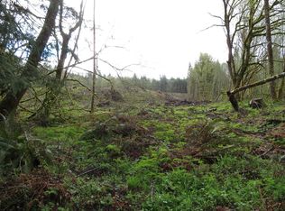 6 Saint Hwy, Adna, WA 98522