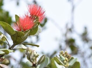 Omeka Rd, Volcano, HI 96785