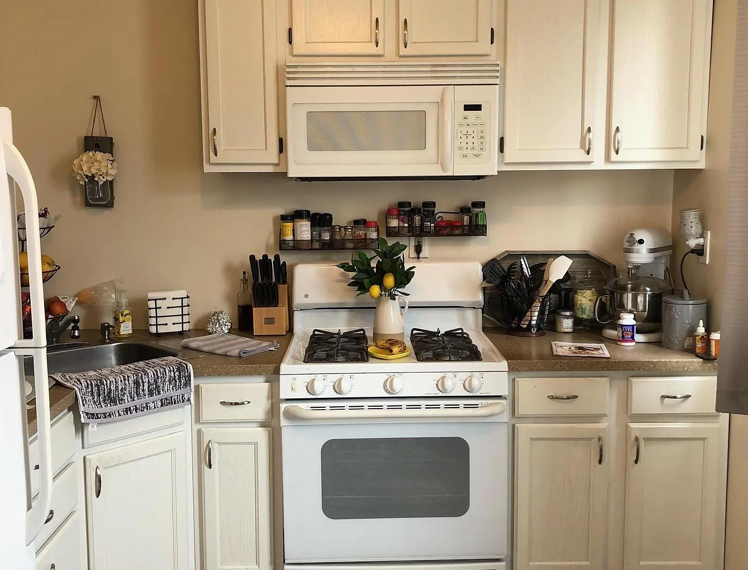 1 bed, $1,100 — Photo 4