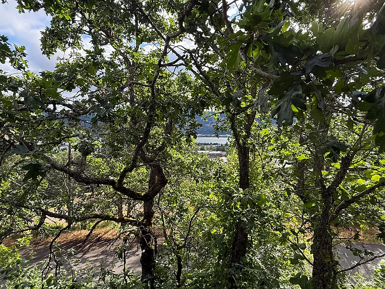 12 E Point Ct — Photo 18