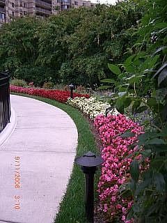 one of the many beautiful walking paths