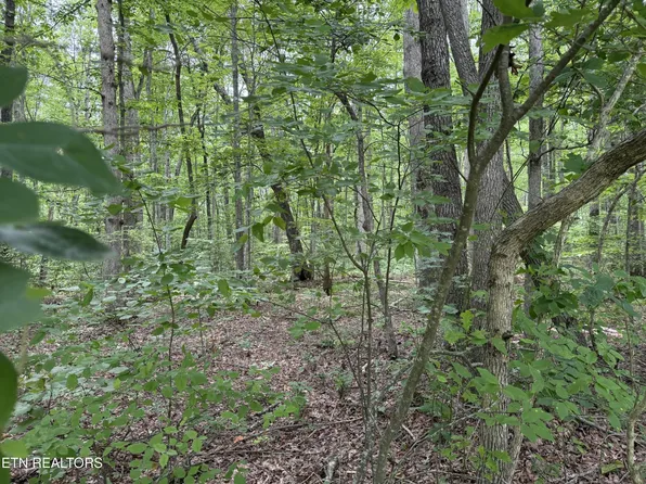 0 Lollar Dr Lot 28, Monterey, TN 38574