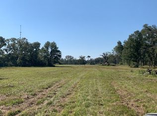 10176 NW Zebbie Odom Rd, Bristol, FL 32321