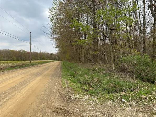 23111 Cannon Hollow Rd, Saegertown, PA 16433