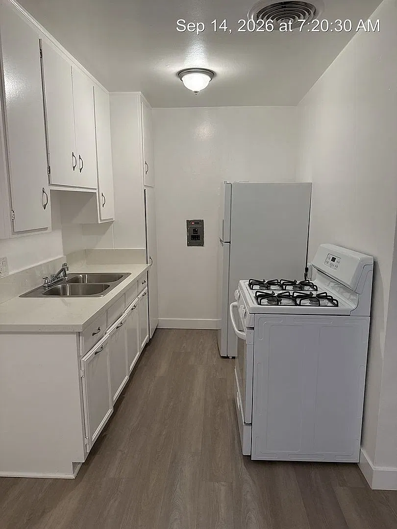 Canfield 3321 — Photo 3