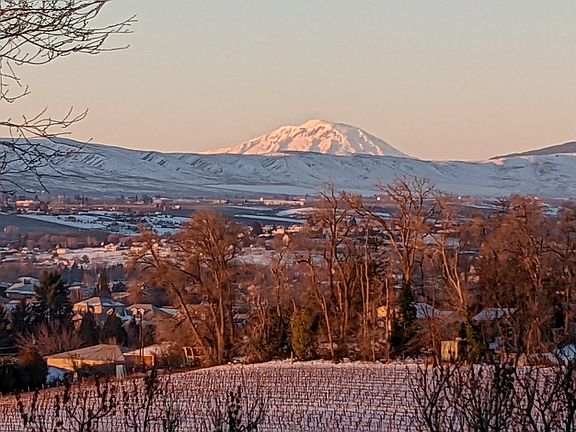 Imagine waking up to this view of Mt. Adams everyday!