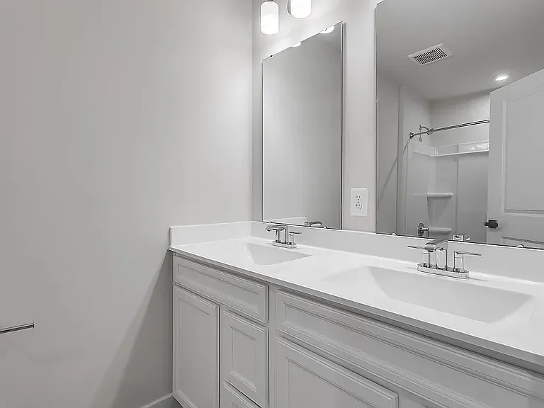 Owner's Bath