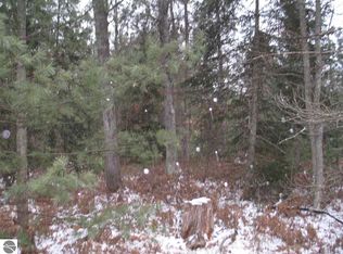 0 Chain Lake Rd, South Branch, MI 48761