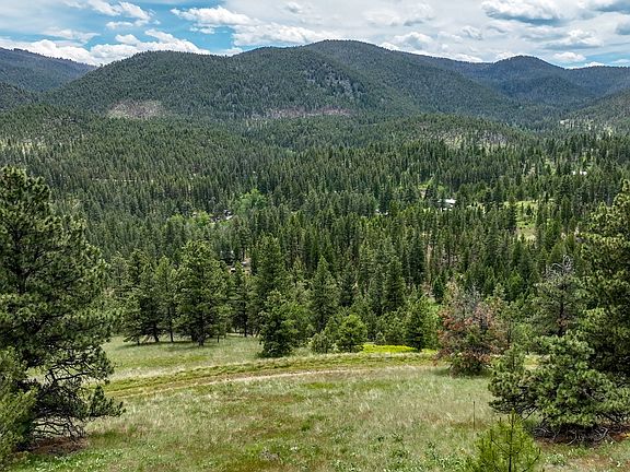 5th image of New Orleans Lode Grizzly Gulch Dr