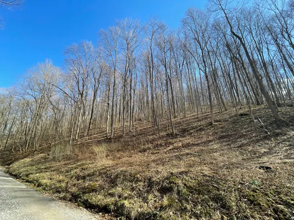 250 Cat Heaven Rd, Sutton, WV 26601