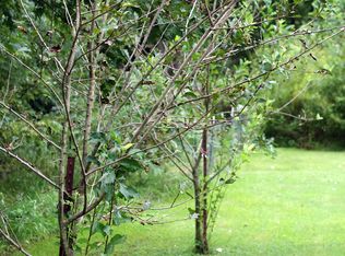 60 Gibbons Rd, Harrisburg, IL 62946