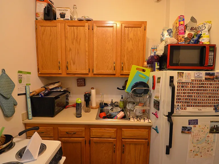47 Symphony Rd #203 — Photo 9