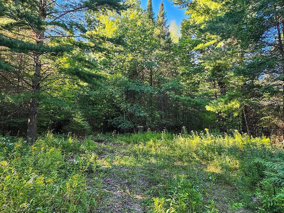 2nd image of LOT 2 S River Rd