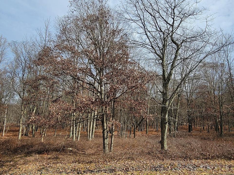 2nd image of 189 Fawn Lily Dr