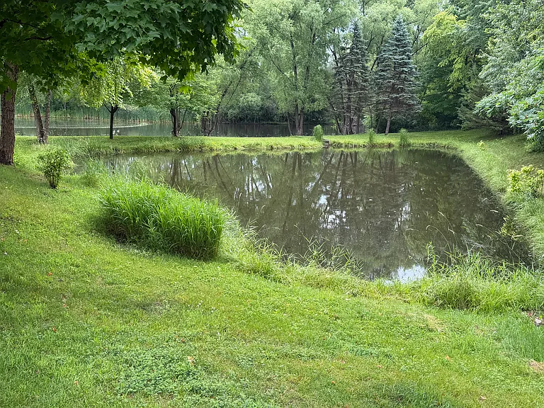10843 Lexington Dr — Photo 15
