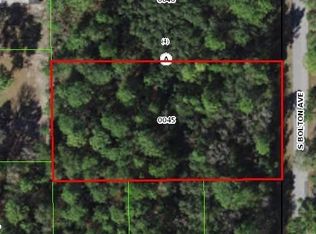 2970 S Bolton Ave, Homosassa, FL 34448