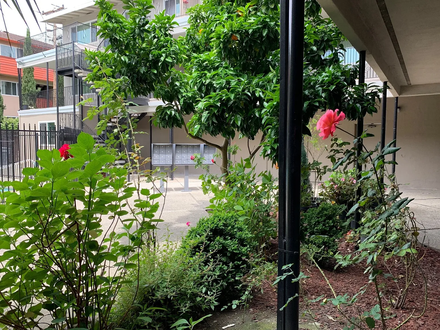 240 Ortega Avenue — Photo 2