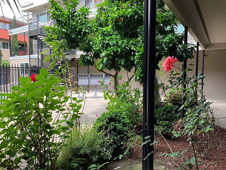 240 Ortega Avenue — Photo 2