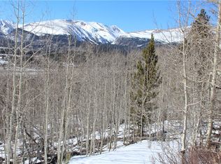 Platte River Dr, Alma, CO 80420