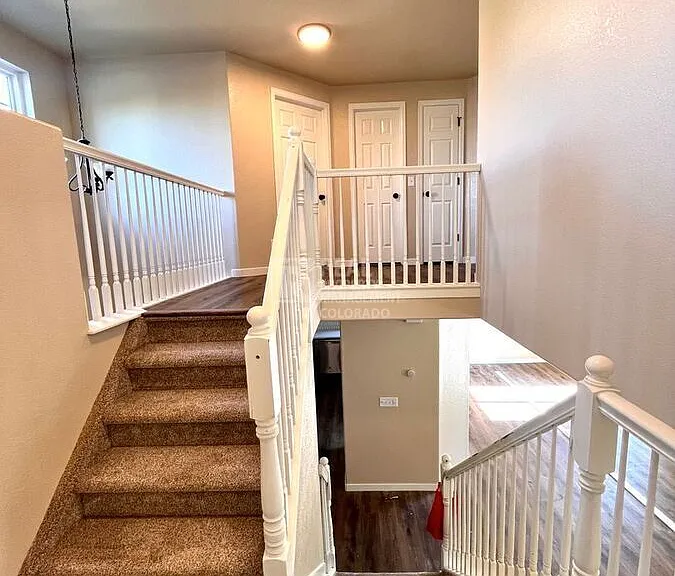 6296 Grand Mesa Dr — Photo 15