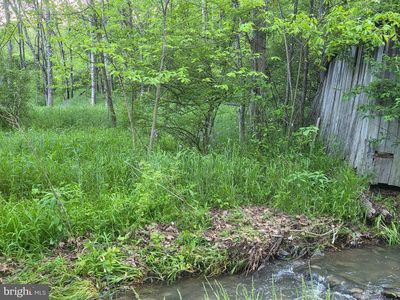 Old Furance Rd, Ridgeley, WV, 26753