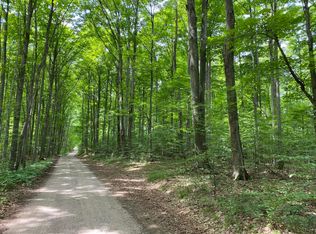 Old Vanderbilt Rd, Vanderbilt, MI 49795