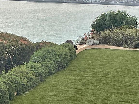5th image of 34541 Camino Capistrano