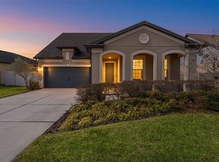 8296 Olive Brook Dr, Wesley Chapel, FL 33545