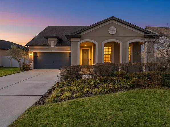 8296 Olive Brook Dr, Wesley Chapel, FL 33545