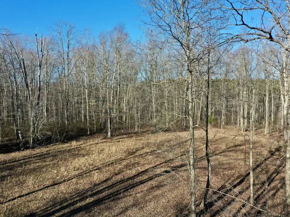 0 Brushy Rd, Centerville, TN 37033