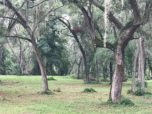 4th image of 2001 W Wood Ibis Ct