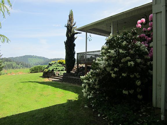back yard