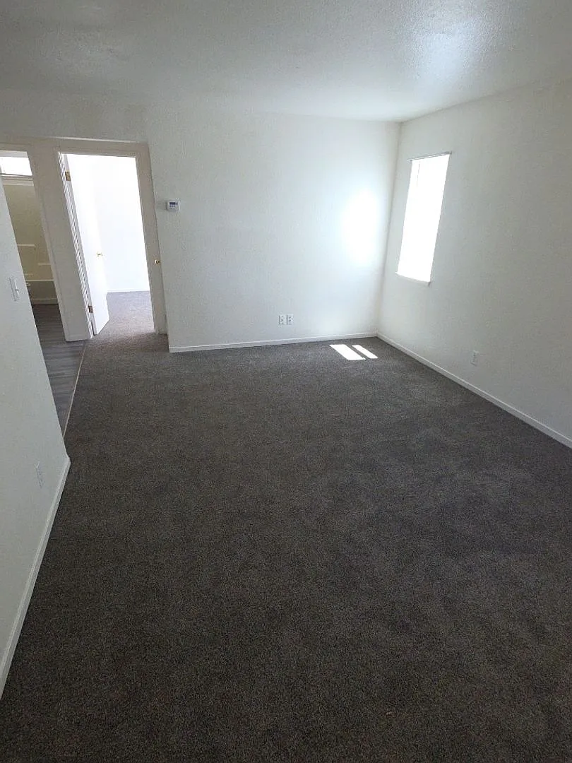 6667 Blue Heron Dr — Photo 3