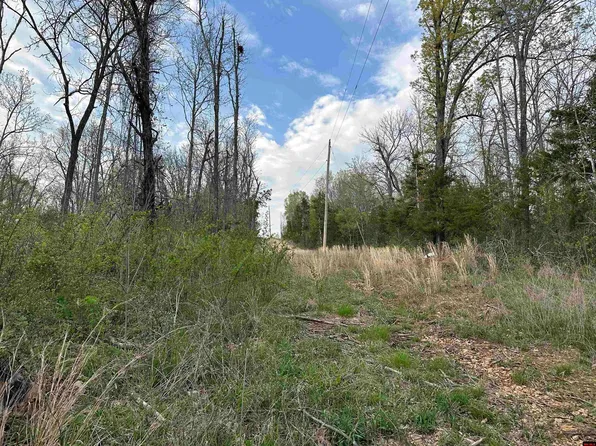 188 Oregon Trl, Pyatt, AR 72672