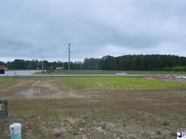 37 Egrets Point, Hartsville, SC 29550