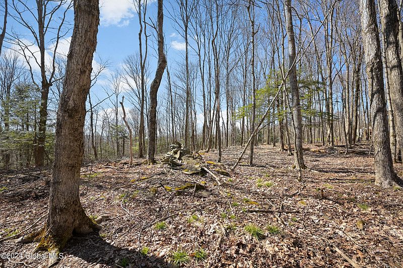 3rd image of L11.6B Rossman Valley Rd