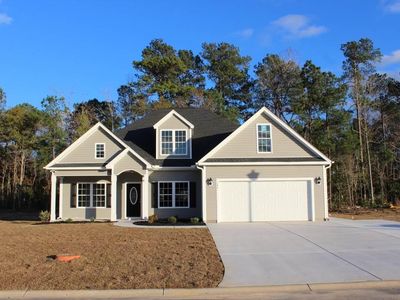 144 Baylee Cir, Galivants Ferry, SC, 29544