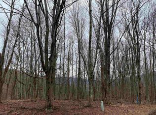 44 Flat Rock Run, Dryfork, WV 26263