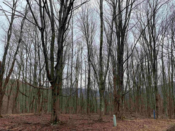 44 Flat Rock Run, Dryfork, WV 26263