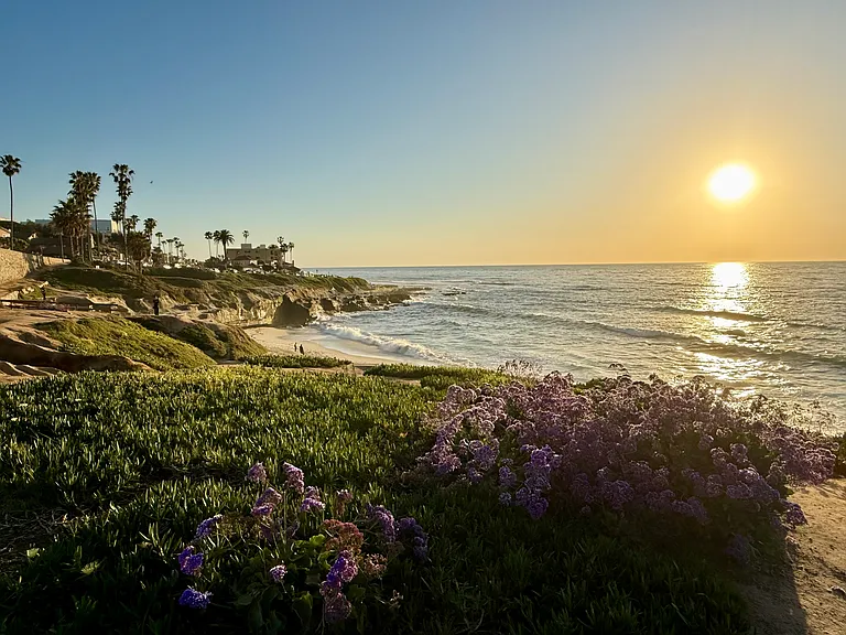 Numerous beaches on the La Jolla Coast near the condo