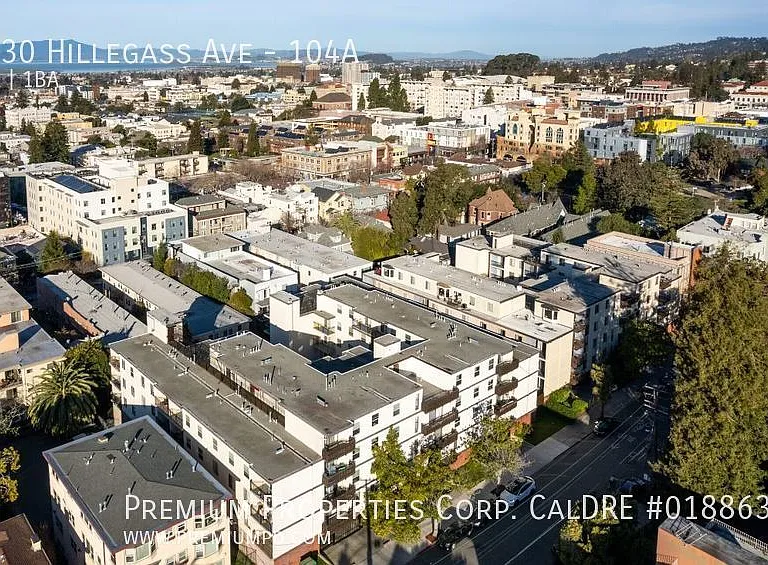 Hillegass Terrace — Photo 15