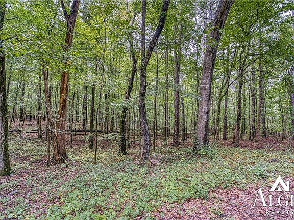 4th image of 4659 Parkwood Dr Lot 5