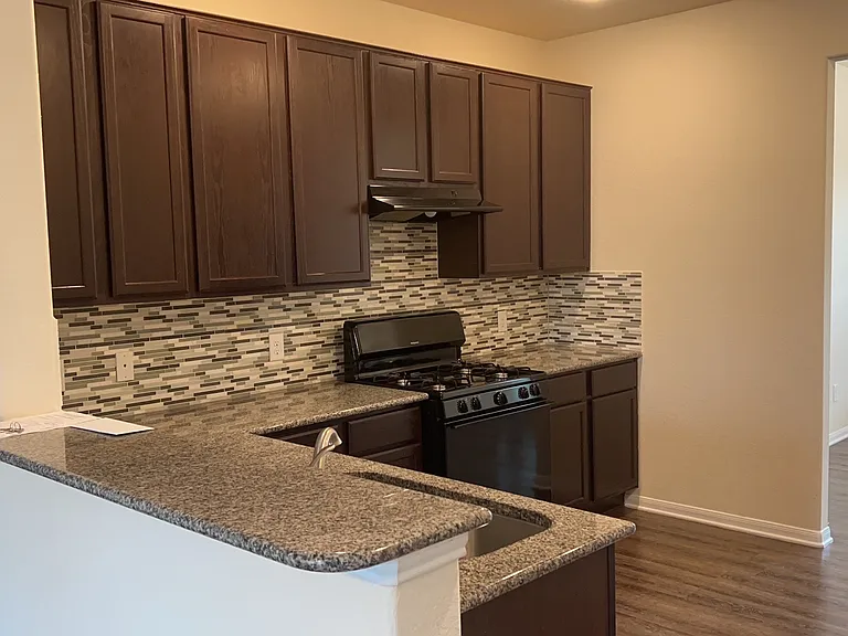 10523 Chestnut Path Way — Photo 4