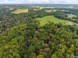 Aunt Ann Hill Rd, Lester, AL 35647