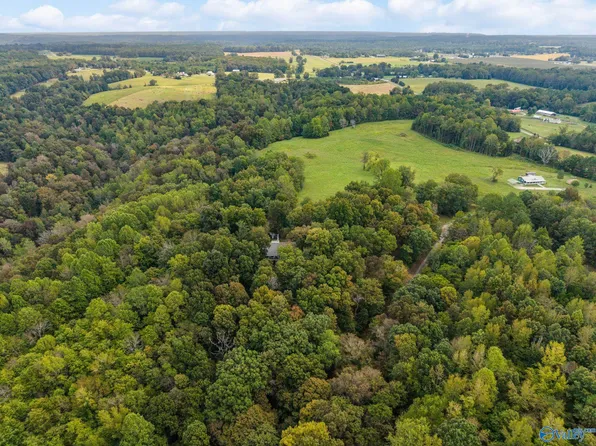 Aunt Ann Hill Rd, Lester, AL 35647