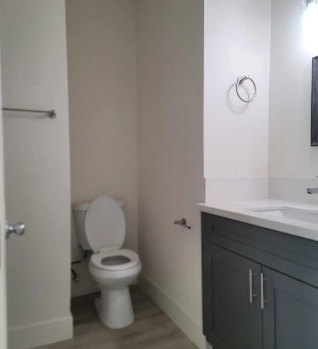 Studio, 419 sqft, $1,550 — Photo 2