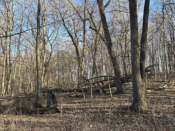 3rd image of 2960 N 2553rd Rd Lot 2