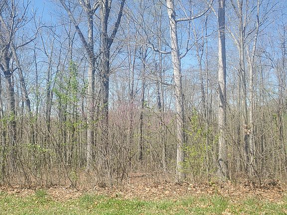 5th image of 136 Tumbleweed Trl