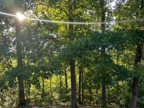 Unnamed Rd, Rockford, AL 35136